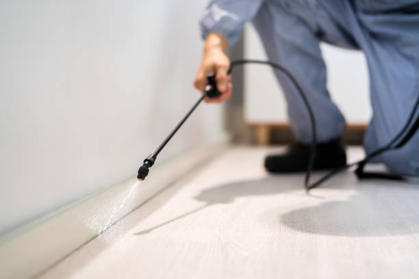 Licensed Pest Control service in DeRidder, LA - Show Me Pest Control